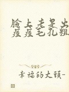 脸上老是出油长痘痘毛孔粗大怎么办