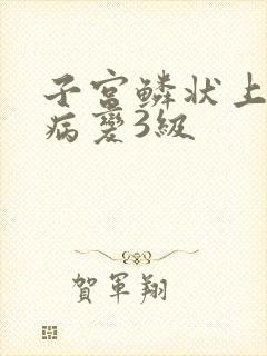 子宫鳞状上皮内病变3级