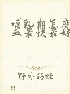 哺乳期怎么补气血最快最好