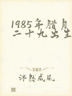 1985年腊月二十九出生是什么命