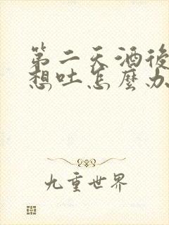 第二天酒后恶心想吐怎么办