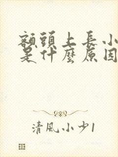 额头上长小疙瘩是什么原因