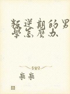 叛逆期的男孩厌学怎么办