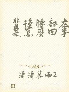背后腰部左边疼是怎么回事封面