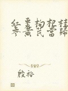 红枣枸杞桂圆党参黄芪当归