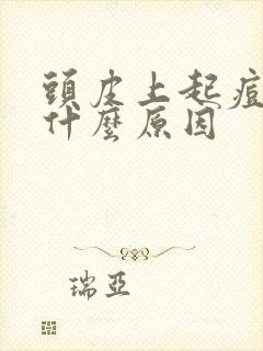 头皮上起痘痘是什么原因封面