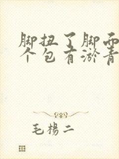 脚扭了脚面肿了个包有淤青封面