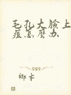 毛孔大脸上有痘痘怎么办