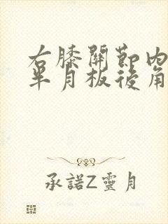 右膝关节内外侧半月板后角损伤