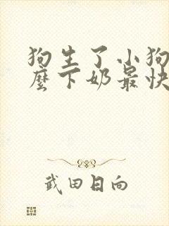 狗生了小狗吃什么下奶最快最多