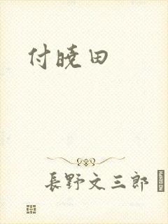 付晓田封面