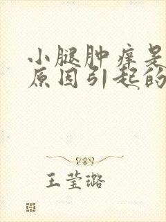 小腿肿痒是什么原因引起的