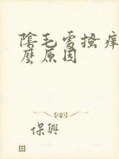 阴毛处搔痒是什么原因