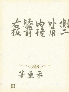 右膝内外侧半月板前后角二级损伤