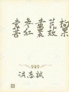 党参黄芪枸杞桑葚红枣效果