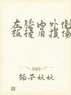 左膝内外侧半月板后角损伤