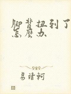 脚背扭到了肿了怎么办封面