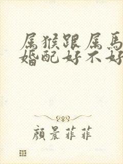属猴跟属马的人婚配好不好