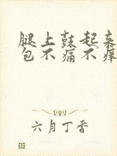 腿上鼓起来一个包不痛不痒