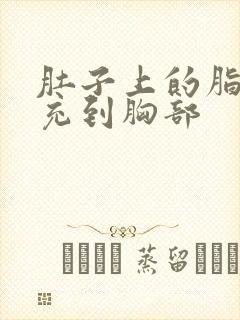 肚子上的脂肪填充到胸部