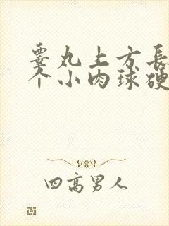 睾丸上方长了一个小肉球硬硬的