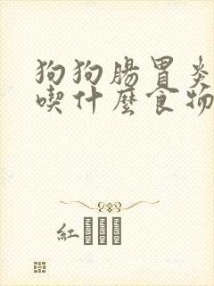 狗狗肠胃炎可以吃什么食物封面