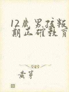 12岁男孩叛逆期正确教育方法封面