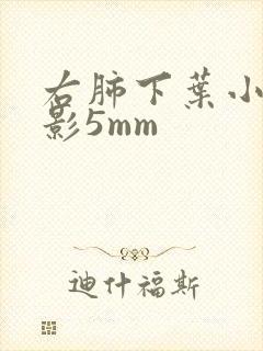 右肺下叶小结节影5mm