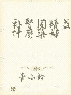 补肾固精益气吃什么药好