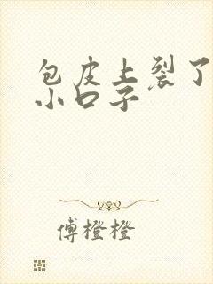 包皮上裂了很多小口子封面