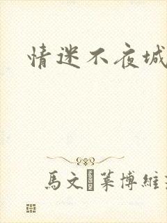情迷不夜城