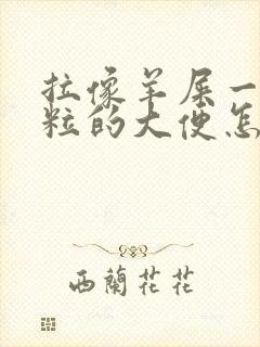 拉像羊屎一粒一粒的大便怎么回事