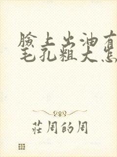 脸上出油有痘痘毛孔粗大怎么办封面