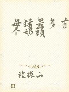 母猪最多有多少个奶头封面
