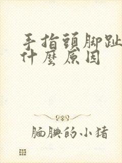 手指头脚趾头麻什么原因
