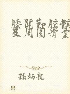 膝关节腔髌上囊及周围滑囊积液
