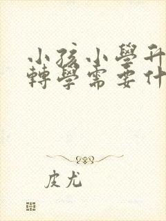 小孩小学升初中转学需要什么手续封面