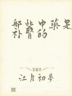哪些中药是补气补肾的