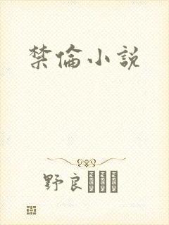 禁伦小说