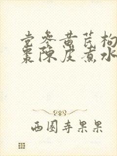党参黄芪枸杞红枣陈皮煮水