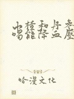 山楂和丹参泡水喝能降血压吗
