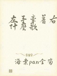 左手牵着右手是什么歌