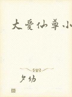 大爱仙尊小说