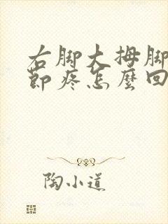 右脚大拇脚趾关节疼怎么回事封面