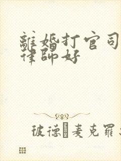 离婚打官司哪个律师好