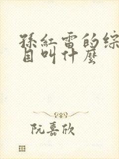 孙红雷的综艺节目叫什么