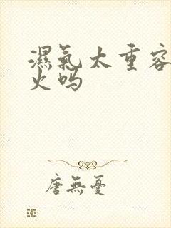 湿气太重容易上火吗