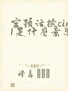 宫颈活检cin1是什么意思