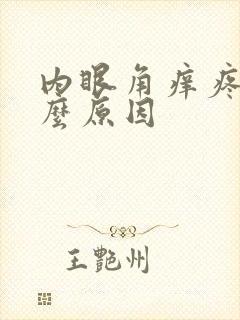 内眼角痒疼是什么原因