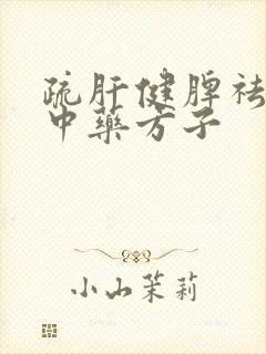 疏肝健脾祛湿的中药方子